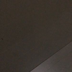 Meet your Posher, Blake